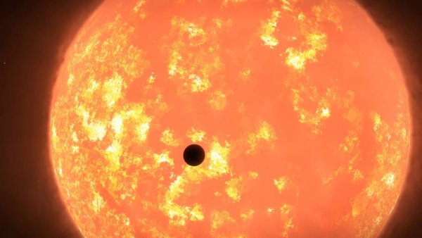 VV Цефея и Бетельгейзе