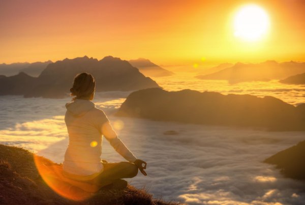 Солнечный цветок