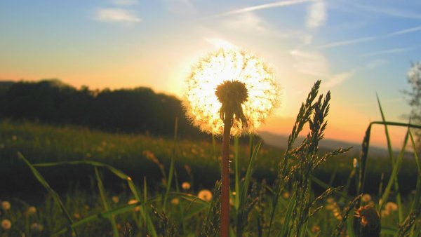 Утреннее осеннее солнце