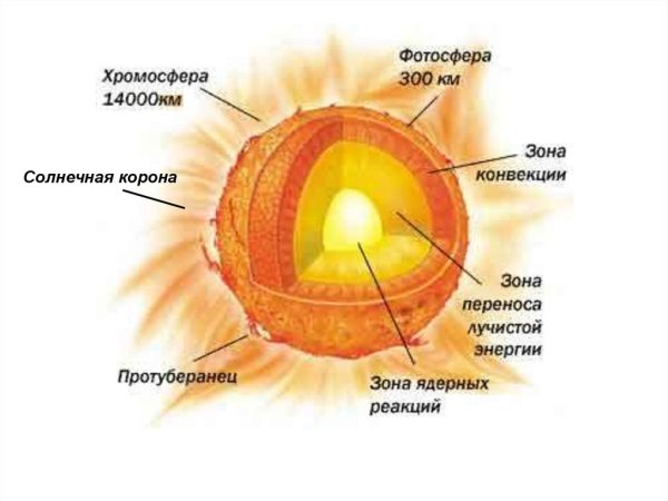 Таблица Фотосфера хромосфера Солнечная корона