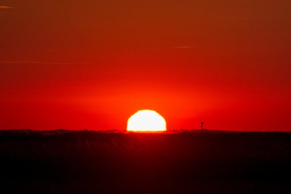 Розовый закат