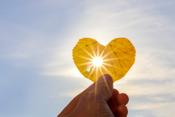 Сердечко руками