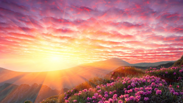 Чудесный закат