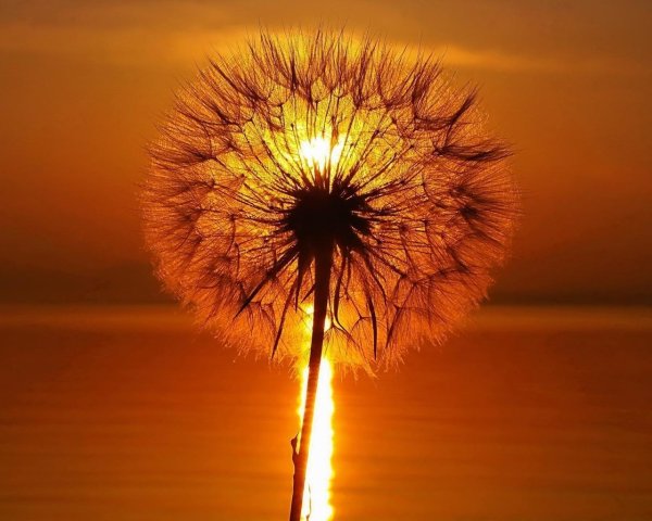 3 Мая Всемирный день солнца