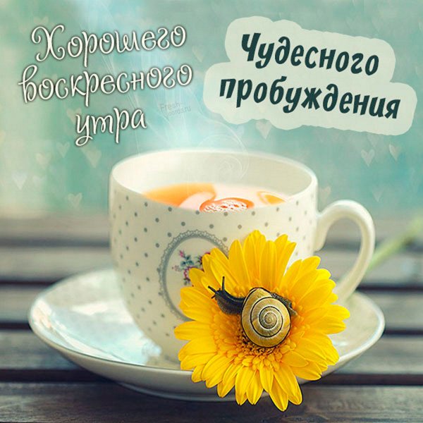 Солнечного настроения