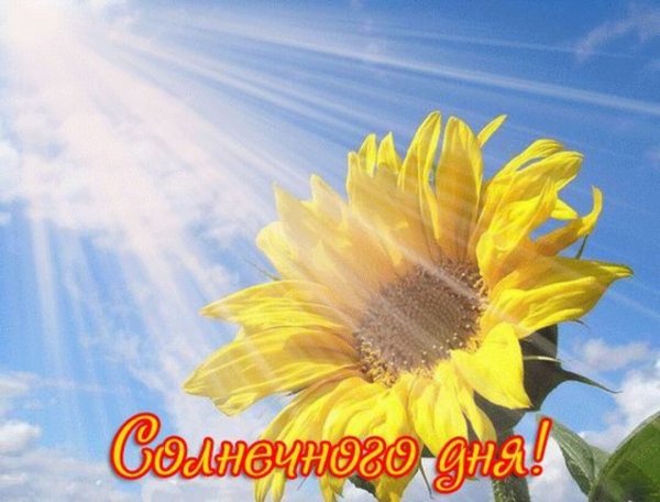 Доброе солнечное утро прикольные