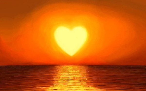 Про ромашки высказывания