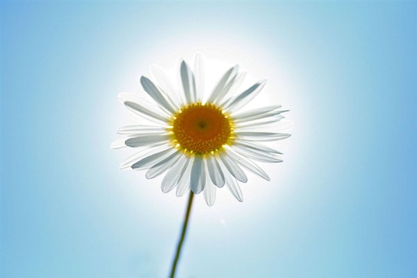 Хорошие слова хорошему человеку