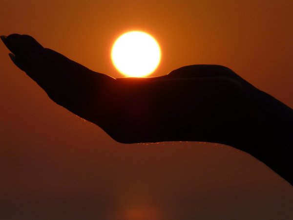 Люблю тебя солнце