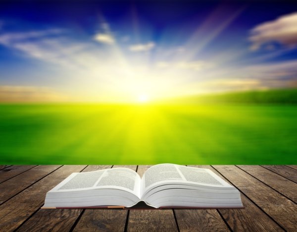 Свет знаний