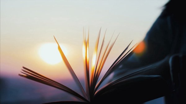 Книга на фоне заката