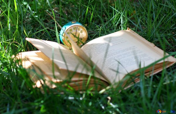 Раскрытая книга на траве