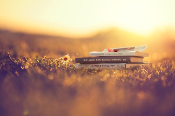 Книга на фоне природы