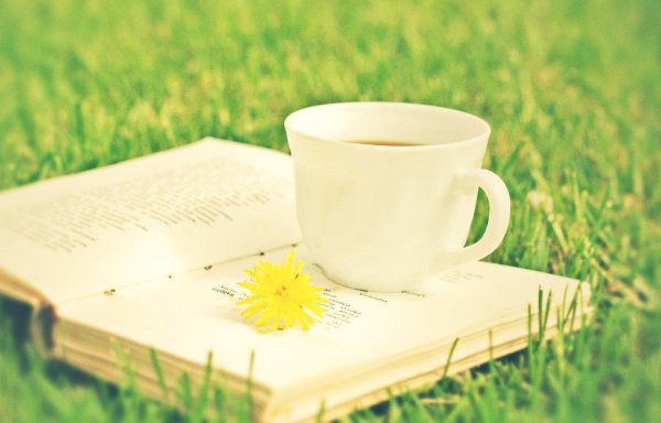 Девушка с книгой на природе