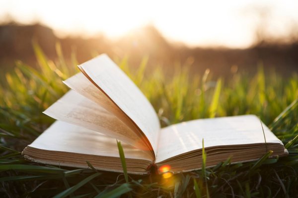 Лето с книгой