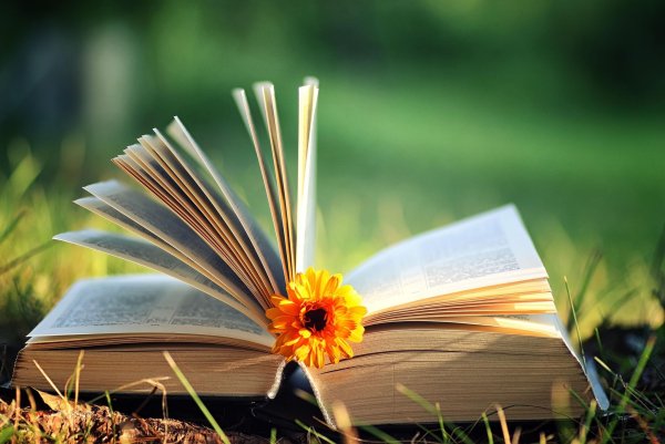 Лето с книгой