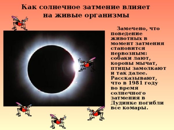 Солнечное затмение