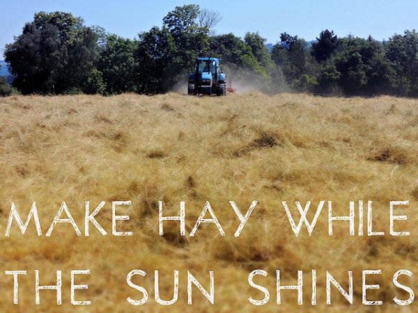 Make hay while the Sun Shines