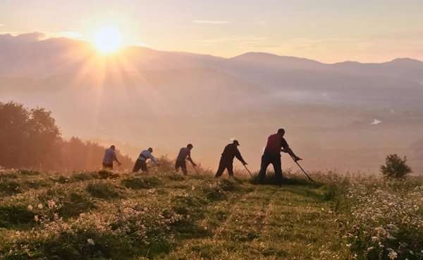 Косарь в поле