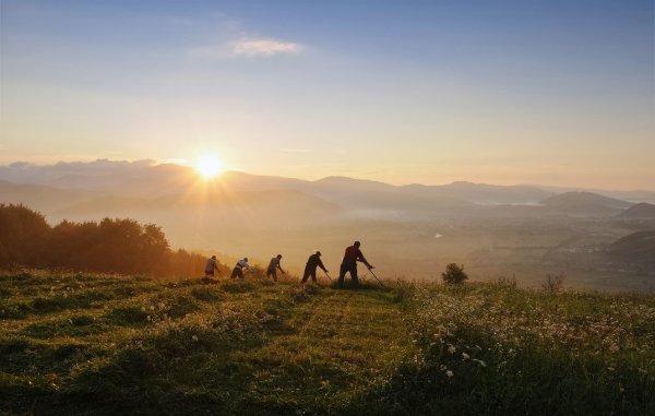 Утренний сенокос
