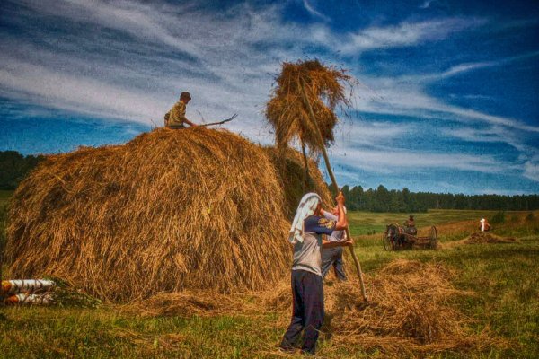 Твардовский сенокос