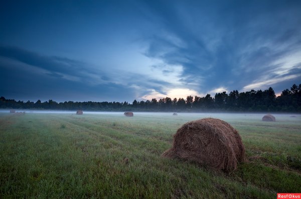 Стога в тумане
