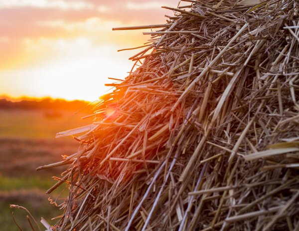 Поле стог сена деревня