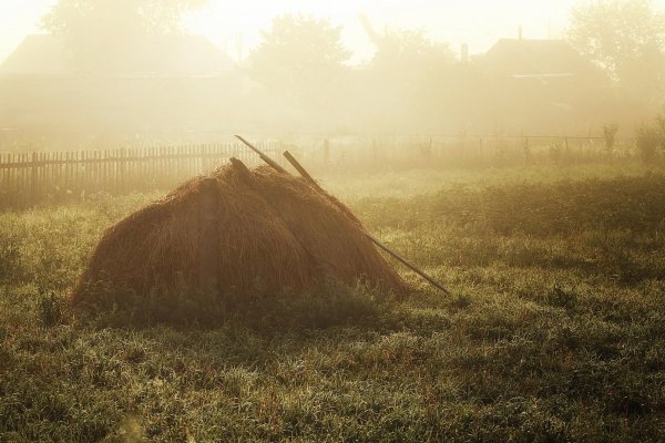 Григорий Григорьевич Мясоедов страдная пора