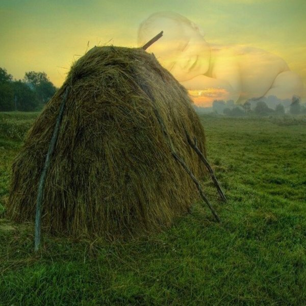 Сенокос деревня природа