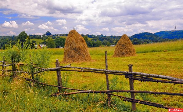 На стоге сена Фет
