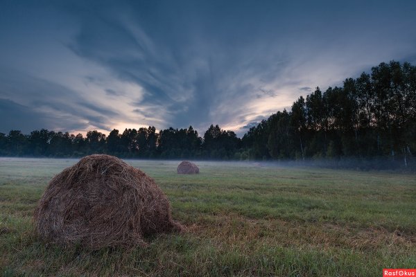 Сенокосный луг