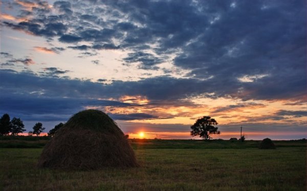 Коса на сенокос