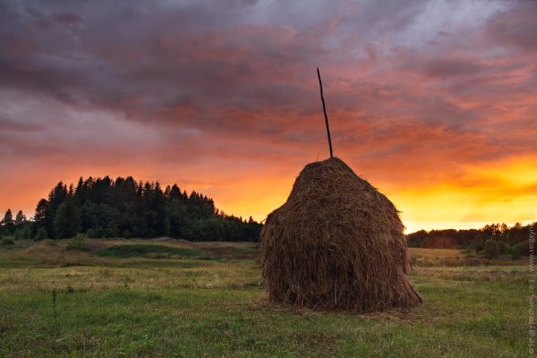Сенокос в деревне