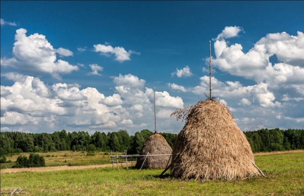 Рассвет в деревне летом