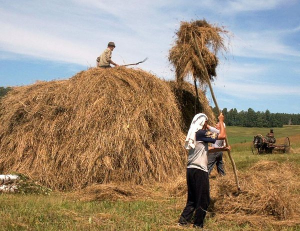 Сенокос сеновал