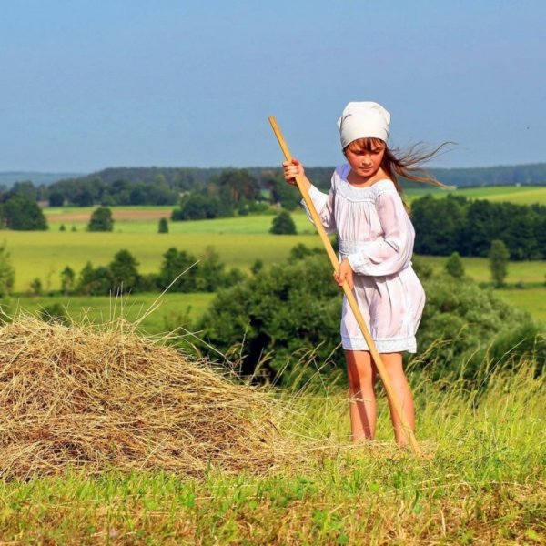 Скошенная трава