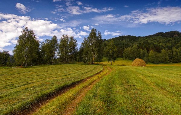 Просыпайся солнце