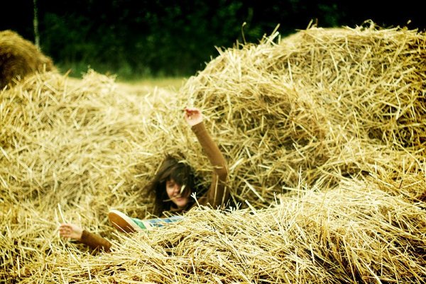 Деревня 1990 сенокос