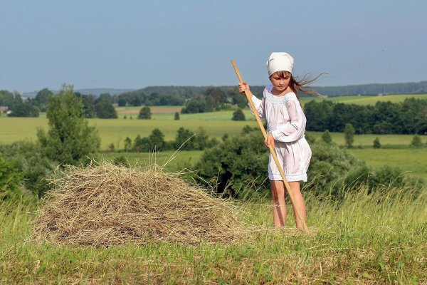 Луга пастбища сенокосы