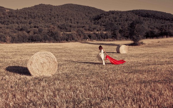 Природа поле стог сена август