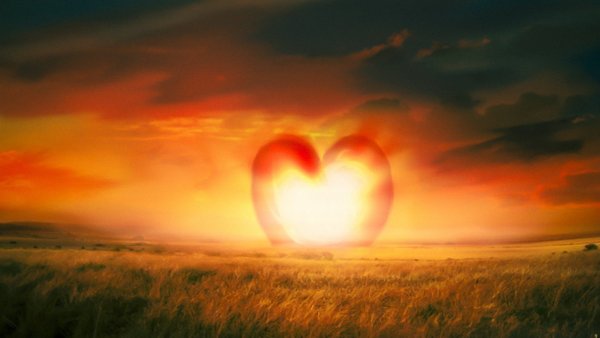 Солнце на ладони