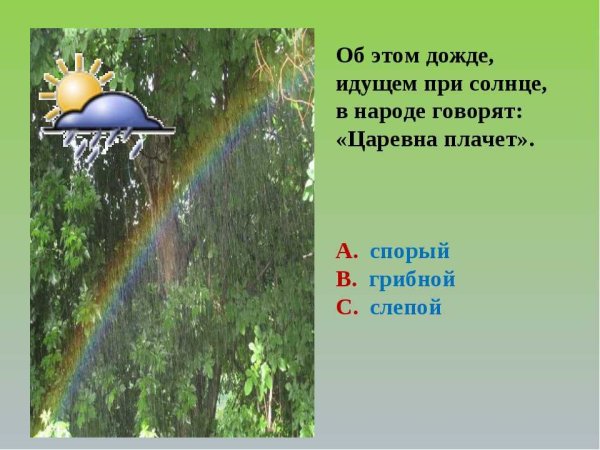 Дожди: стихи