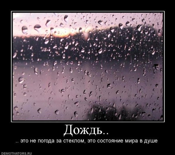 Дождь за окном стихи