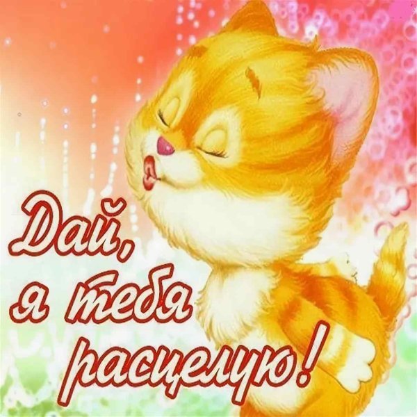 Картинки поцелуйчики обнимашки