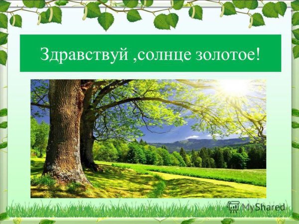 Приветствие Здравствуй солнце золотое