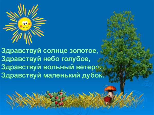 Здравствуй солнце золотое