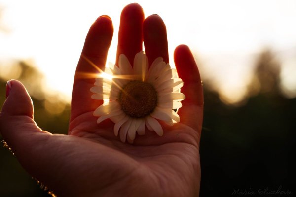 Лучи солнца