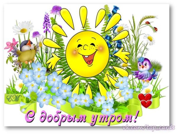 Доброе солнечное утро
