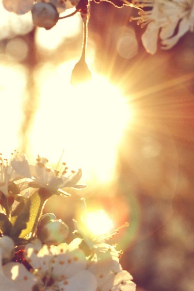 Душевного тепла и солнечного настроения