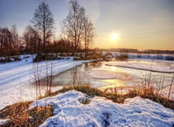 Весна животные